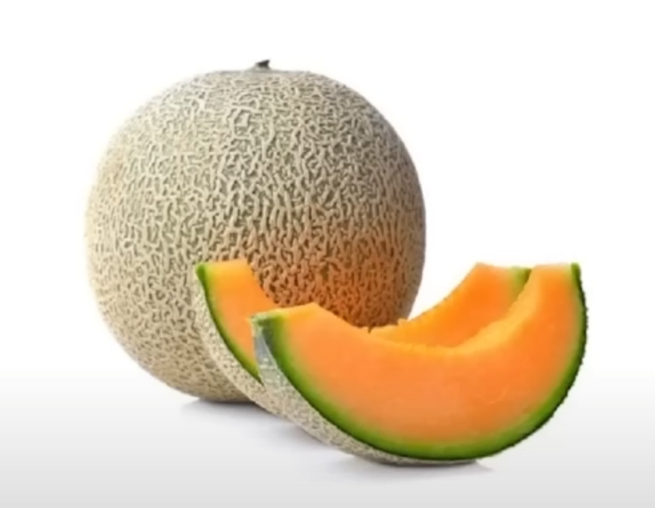Cantaloupe Image